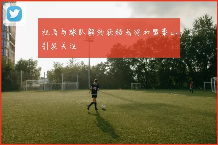 祖马与球队解约获赔或将加盟泰山引发关注