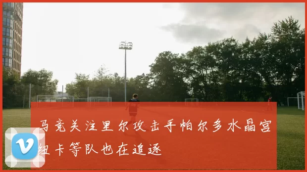 马竞关注里尔攻击手帕尔多水晶宫纽卡等队也在追逐