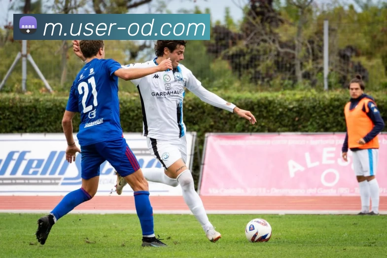 OD体育品牌故事