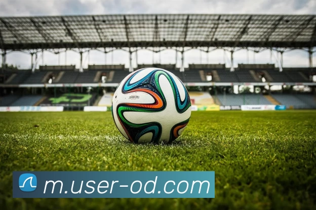 OD体育服务体系